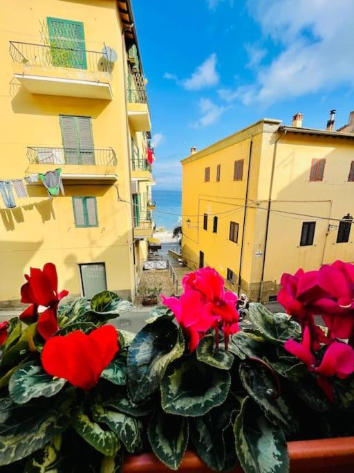 Casa vacanze Maddy House - 50 Mt Dal Mare