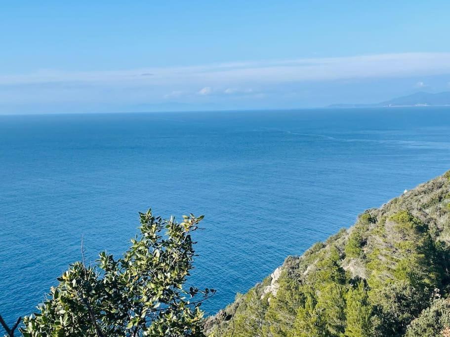 Maddy House - 50 Mt Dal Mare Casa vacanze Porto Santo Stefano (Grosseto)